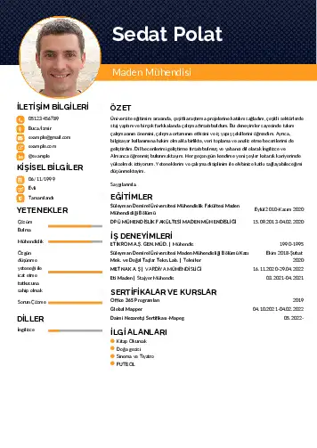 Maden Mühendisi Cv Örnekleri cv indir